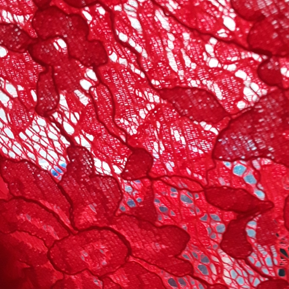 Celebrate The ♥️ 🤍 💙 W/THIS RED LACE FLORAL DRESS APT.9 SZ 14 - Picture 3 of 8